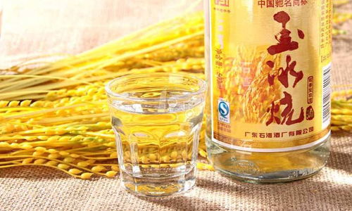 从原料到美酒 小曲大米酒半机械化生产设备与工艺详解